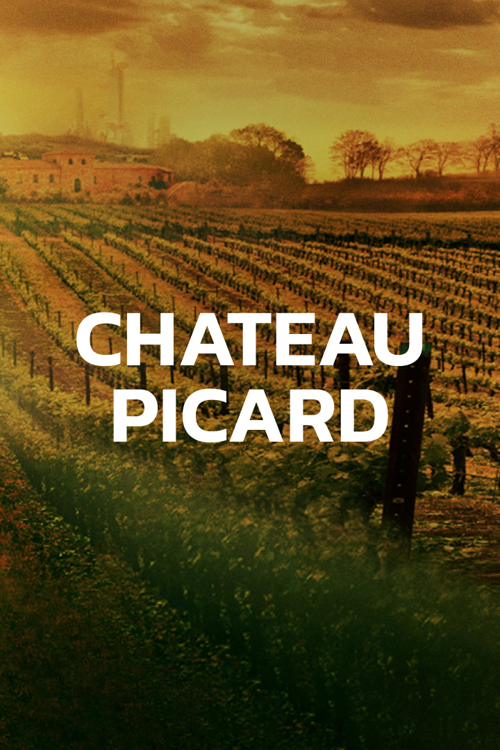 Exclusive Chateau Picard