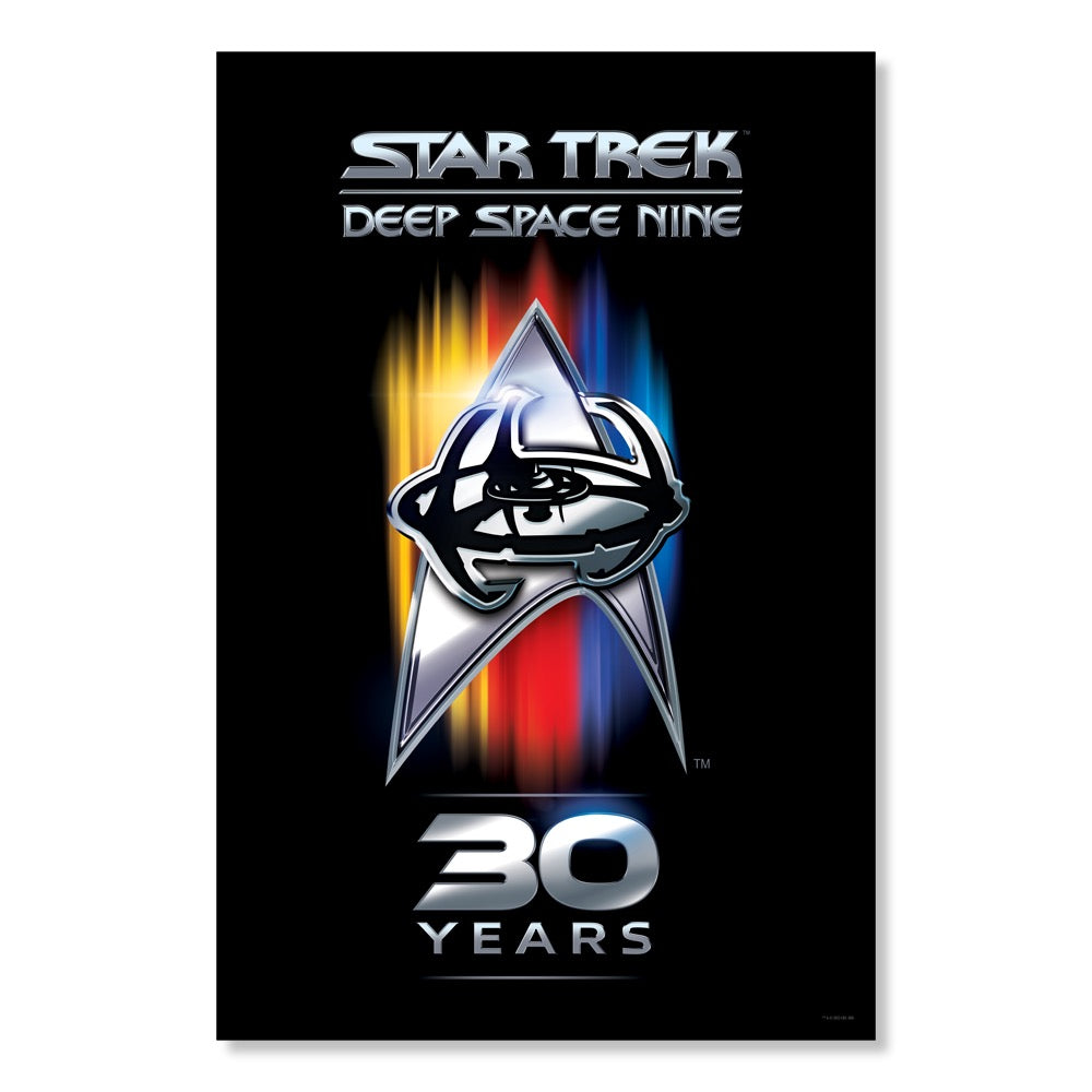 Star Trek: Deep Space Nine 30th Anniversary Premium Poster