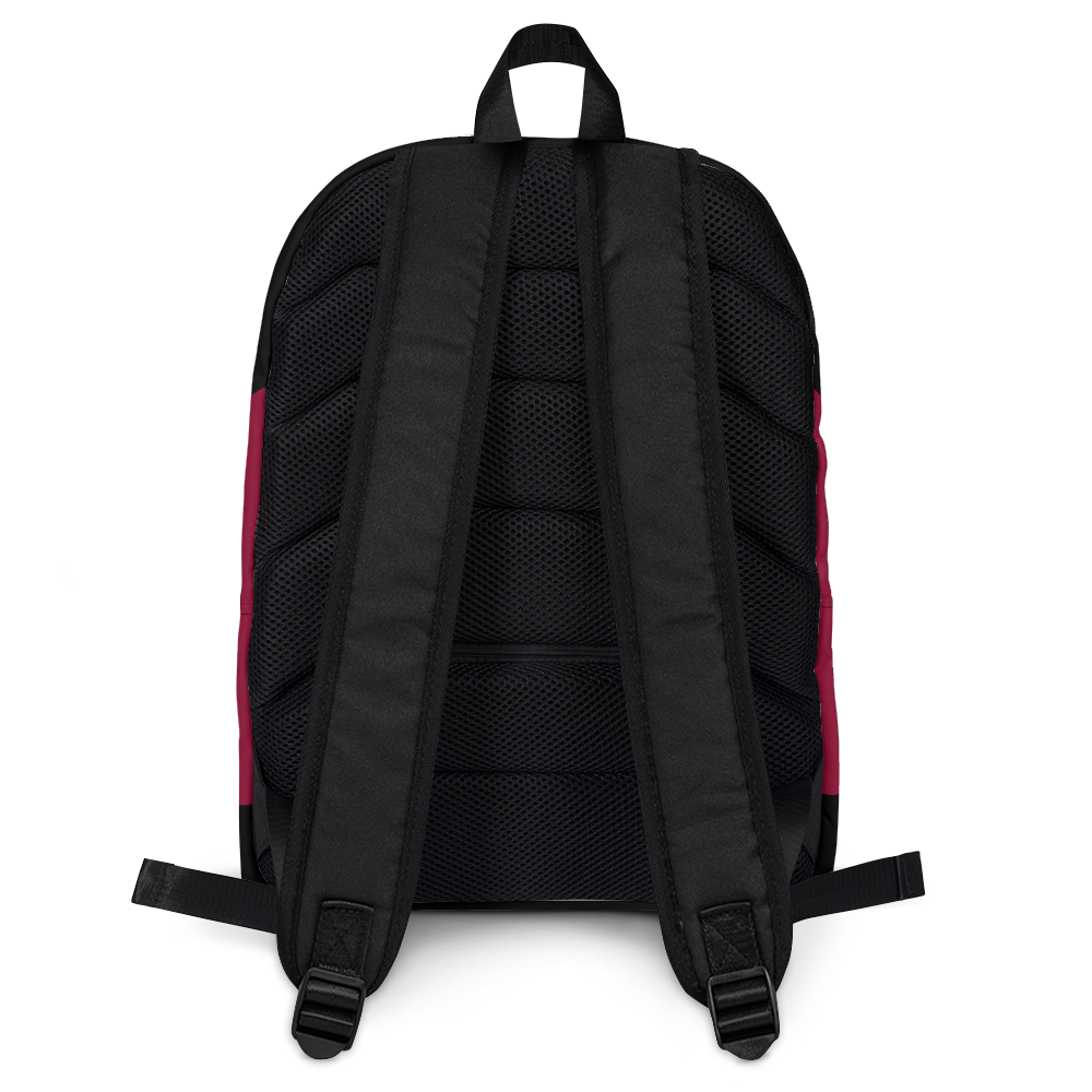 Star Trek: The Next Generation TNG Backpack Premium Backpack