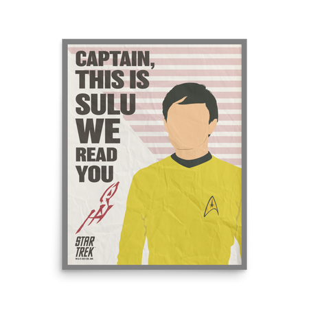 Star Trek: The Original Series Sulu Premium Matte Paper Poster